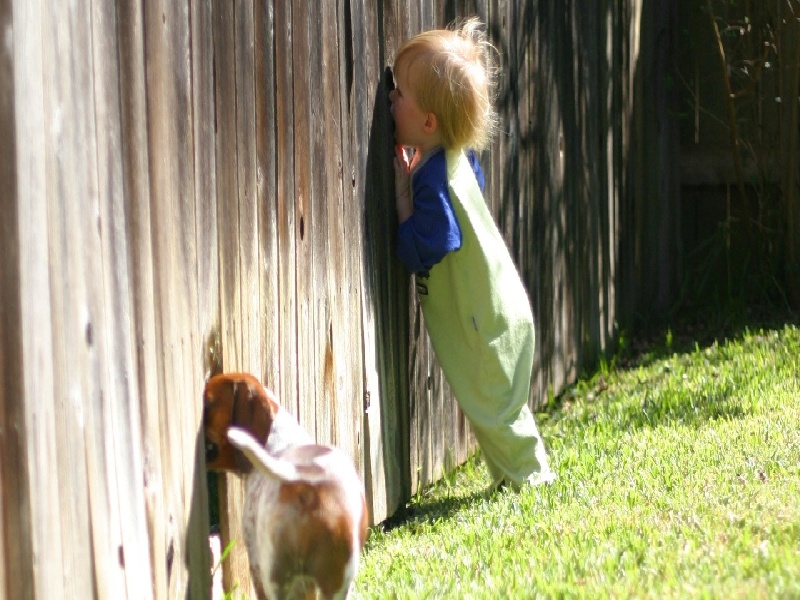 日本未婚可以试管，试管前吃石榴