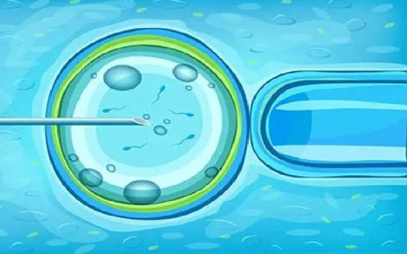 铂特体试管刷代生